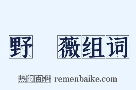 野薔薇组词是什么意思的图片